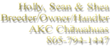 Holly, Sean & Shea Breeder/Owner/Handler AKC Chihuahuas 805-794-1447