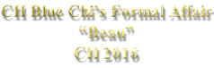 CH Blue Chi’s Formal Affair “Beau” CH 2016