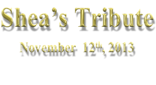 Shea’s Tribute November  12th, 2013