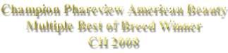 Champion Phareview American Beauty Multiple Best of Breed Winner CH 2008