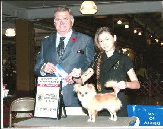 GCH Blue Chi's Coat of Arms "Blais"