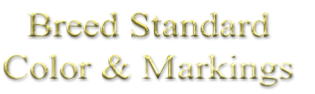Breed Standard
Color & Markings
