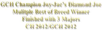 GCH Champion Joy-Jac’s Diamond Joe Mulitple Best of Breed Winner Finished with 3 Majors CH 2012/GCH 2012