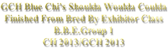 GCH Blue Chi’s Shoulda Woulda Coulda Finished From Bred By Exhibitor Class B.B.E.Group 1 CH 2013/GCH 2013