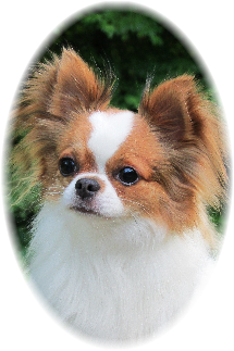 Blue Chi's Everybody Talks "Timmy"